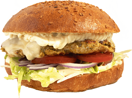 POLLO